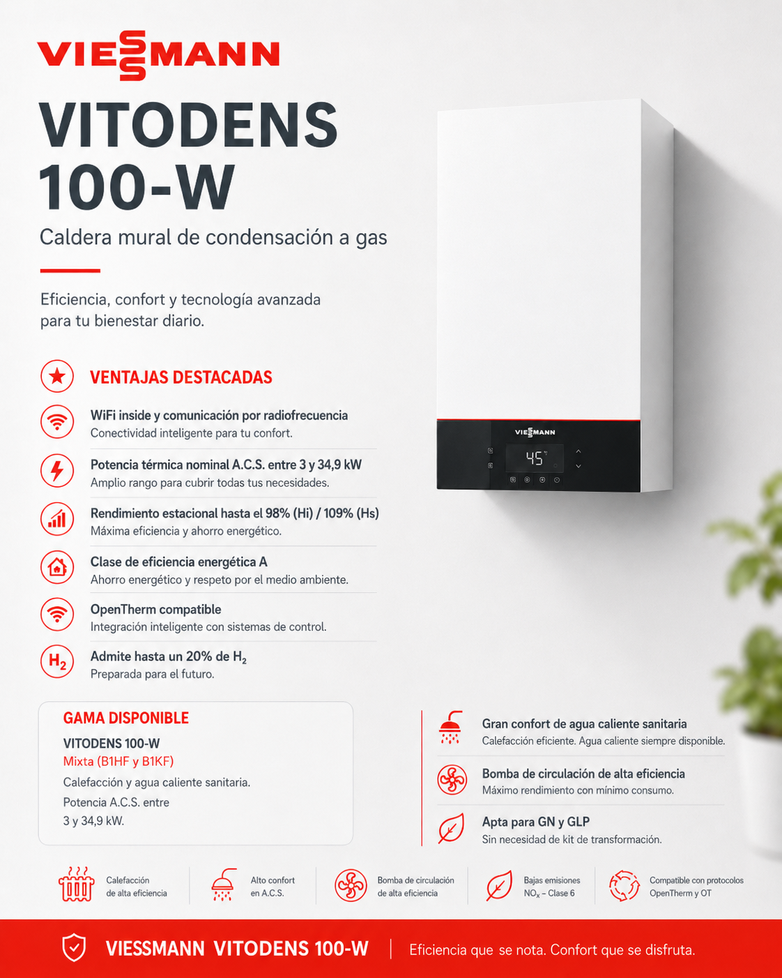 Viessmann Vitodens 100-W